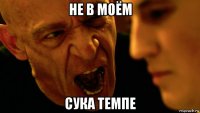 не в моём сука темпе