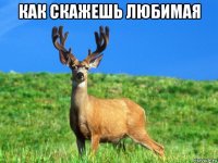 как скажешь любимая 