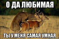 о да любимая ты у меня самая умная