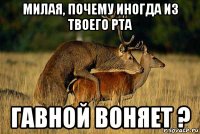 милая, почему иногда из твоего рта гавной воняет ?