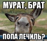 мурат, брат попа лечиль?