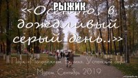 рыжик 