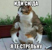 иди сюда я те стрельну
