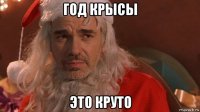 год крысы это круто