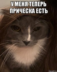 у меня теперь прическа есть 