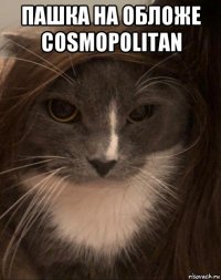 пашка на обложе cosmopolitan 