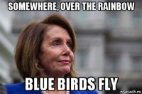 somewhere, over the rainbow blue birds fly