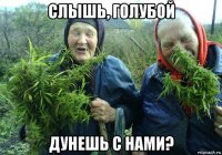 слышь, голубой дунешь с нами?