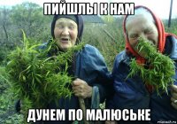 пийшлы к нам дунем по малюське
