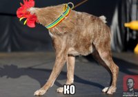  ко