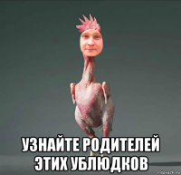  узнайте родителей этих ублюдков