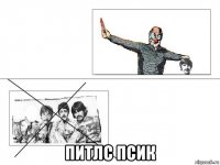  питлс псик