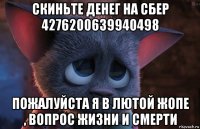 скиньте денег на сбер 4276200639940498 пожалуйста я в лютой жопе , вопрос жизни и смерти