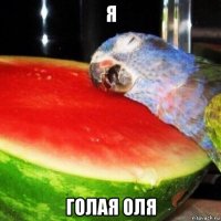 я голая оля