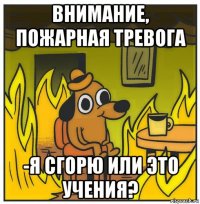 внимание, пожарная тревога -я сгорю или это учения?