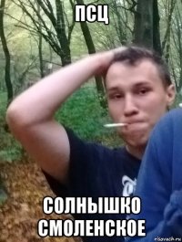 псц солнышко смоленское