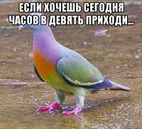 если хочешь сегодня часов в девять приходи... 