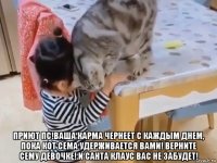  приют пс!ваша карма чернеет с каждым днем, пока кот сема удерживается вами! верните сему девочке! и санта клаус вас не забудет!