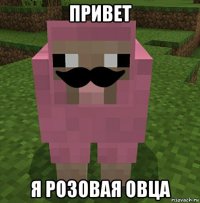 привет я розовая овца