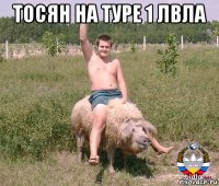 тосян на туре 1 лвла 