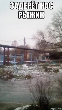 задерёт нас рыжик 