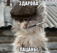 здарова пацаны