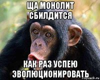 ща монолит сбилдится как раз успею эволюционировать