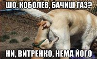 шо, коболев, бачиш газ? ни, витренко, нема його