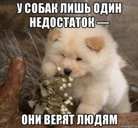 у собак лишь один недостаток — они верят людям