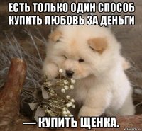 есть только один способ купить любовь за деньги — купить щенка.
