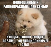 полноценный и равноправный член семьи! и когда человек заводит собаку — он дисциплинирует себя.