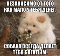 независимо от того как мало у тебя денег, собака всегда делает тебя богатым.