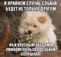 в крайнем случае собака будет не только другом но и вкусным обедом и ужином! польза от собаки сплошная!