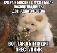 вчера в москве в музее были похищены цветы двенадцатого века вот так выглядит преступник