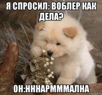 я спросил: воблер как дела? он:нннармммална