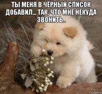 ты меня в чёрный список добавил... так, что мне некуда звонить.. 
