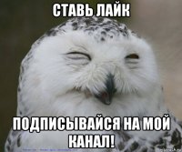 ставь лайк подписывайся на мой канал!