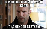 не можешь срать, не мучай жопу! (с) джейсон стэтхэм