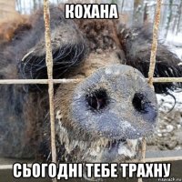 кохана сьогоднi тебе трахну