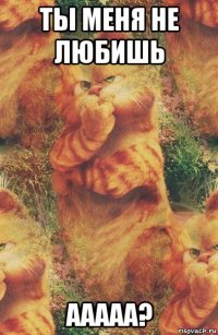 ты меня не любишь ааааа?