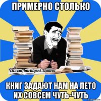 примерно столько книг задают нам на лето их совсем чуть-чуть