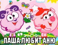  паша любит аню