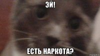 эй! есть наркота?