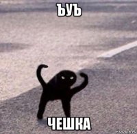ъуъ чешка