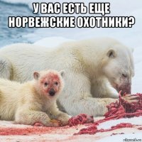 у вас есть еще норвежские охотники? 