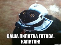  ваша пилотка готова, капитан!