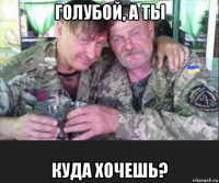 голубой, а ты куда хочешь?