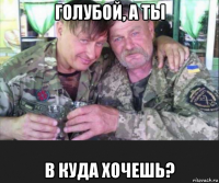 голубой, а ты в куда хочешь?