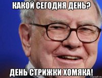 какой сегодня день? день стрижки хомяка!