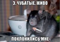 э, чубатые, живо поклонились мне